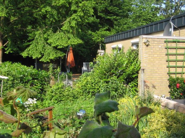 Ferienhaus Pusteblume Bad Zwischenahn Exterior foto